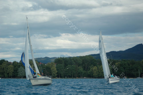 DSC_2439