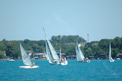 DSC_2482